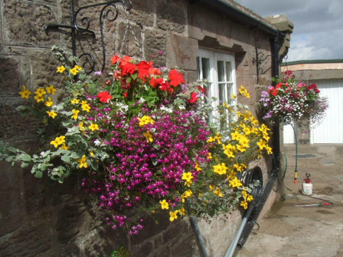 Bed and Breakfast The Old School House Berwick Upon Tweed Zewnętrze zdjęcie